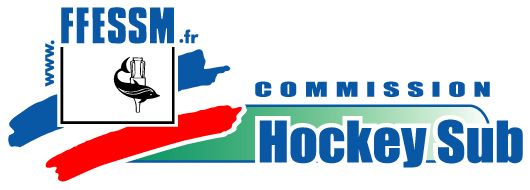 logo-hokeysub-quadri